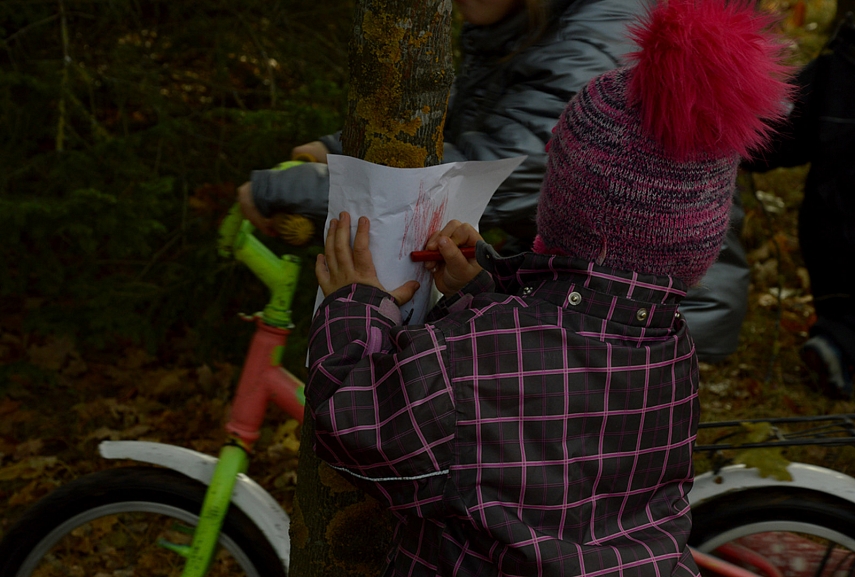 <p>Nesėkmingai bandom išgauti medžio kamieno antspaudą... Šalta, šlapia ir niekas tam reikalui neturi ūpo</p>
