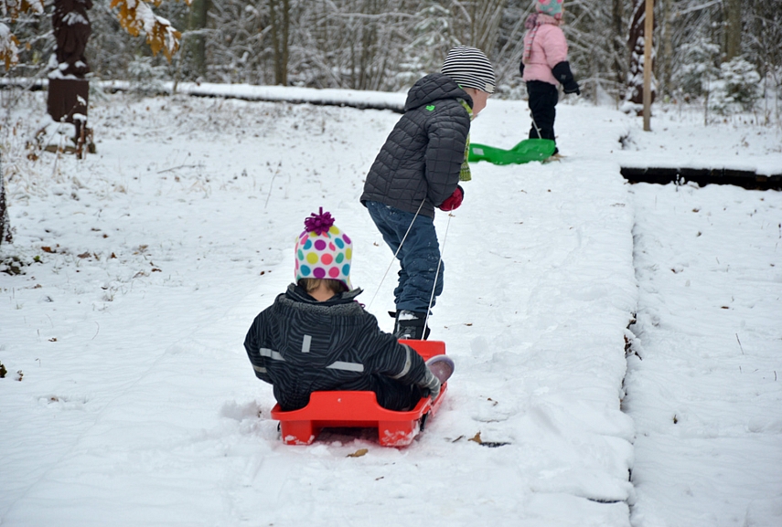 <p>Liutauras su Magdute atsivežė roges. Tad smaginosi vaikai. Mokinosi dalintis, vienas kitą tempti. Smagumynai..</p>
