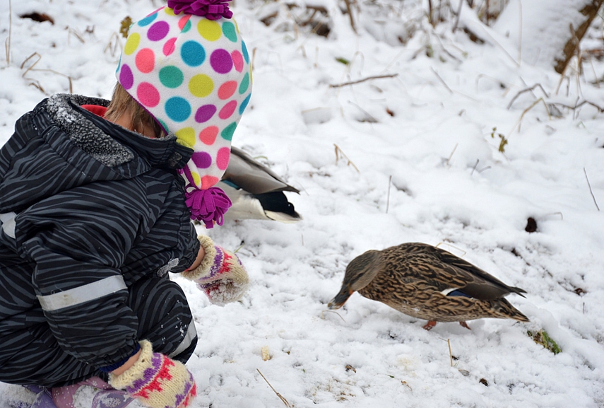 <p>Visai žmonių nebijo...</p>
