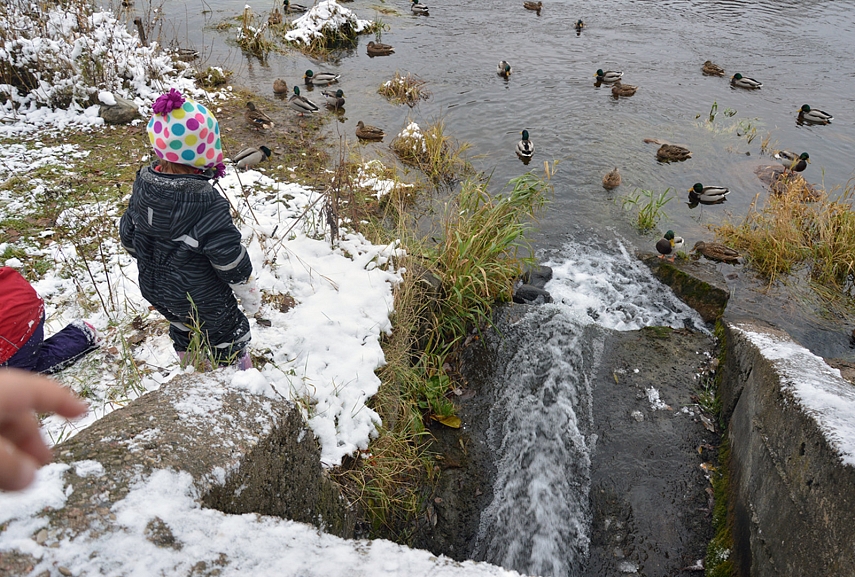 <p>Vaikams kelionės kulminacija visgi buvo "krioklys" - vamzdis į upę.. Kas ten tokio išteka į tą mūsų upę... Hmz..</p>
