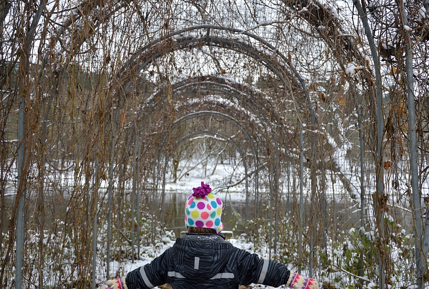 <p>Vasarą čia turėtų būti gražu...</p>
