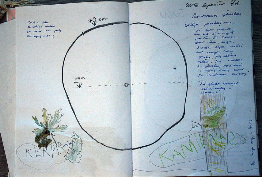 <p>Raudnojo ąžuolo kamienas, kerpės ir dar kelios Emilijos mintys, užrašytos mano ranka. Taip atrodo mūsų gatininko dienoraščio įrašas</p>

