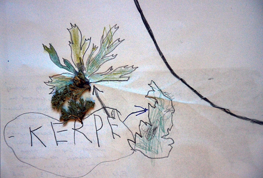 <p>Bandėm piešti mes abi su Emilija</p>
