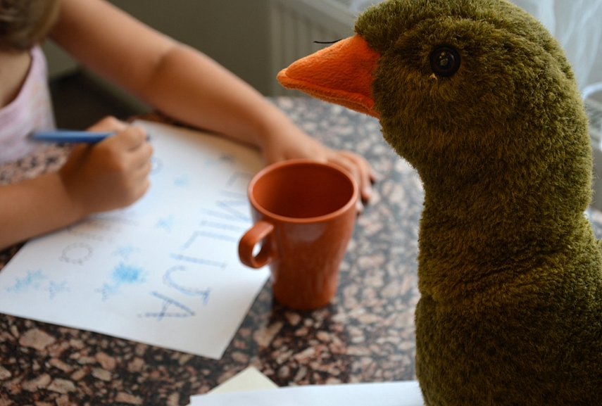 <p>Motulė žąsis napailstamai stebi pamoką..</p>
