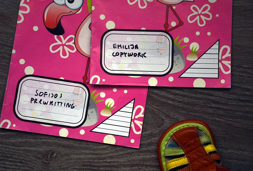 <p>Labai svarbu lygybė. Sąsiuviniai turi būti vienodi.</p>
