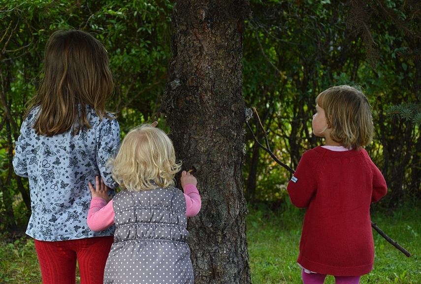 <p>Tyrinėjam sakus</p>
