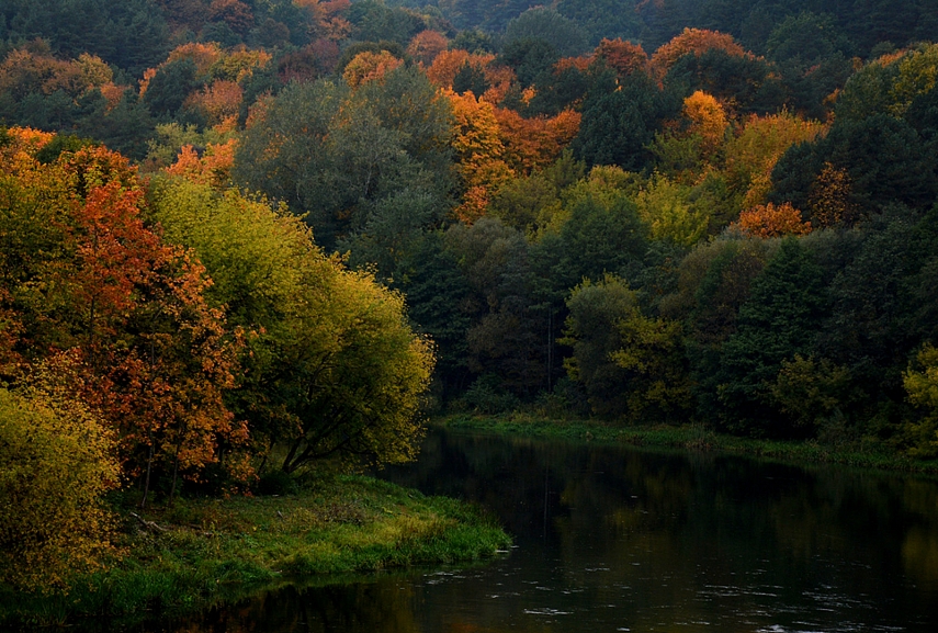 <p>Ruduo rudeniui. Lapai lapams</p>
