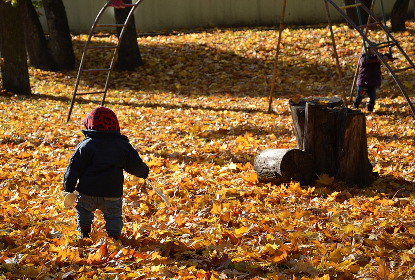 <p>Aukso kilimas</p>
