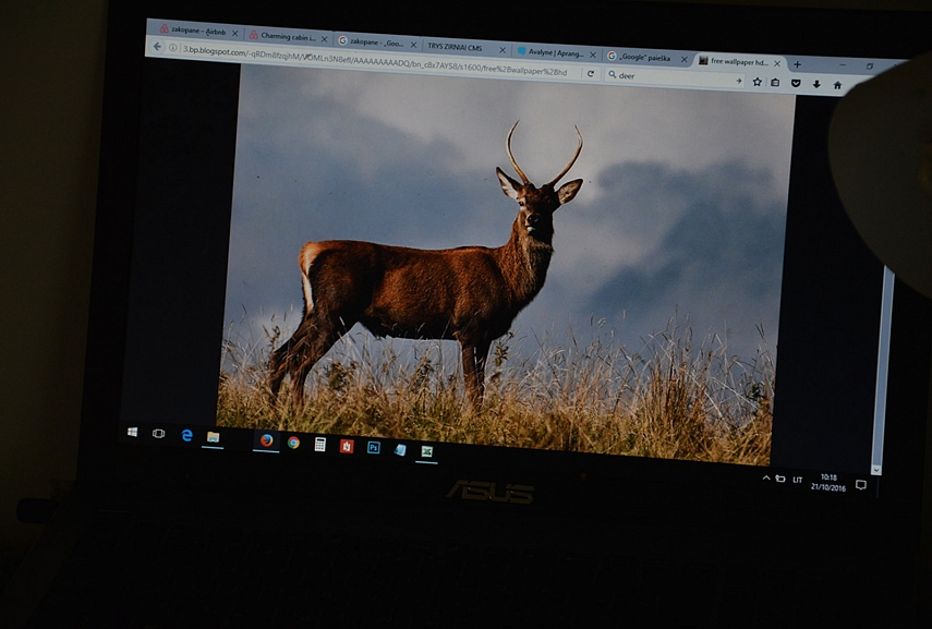 <p>Semiamės įkvėpimo</p>
