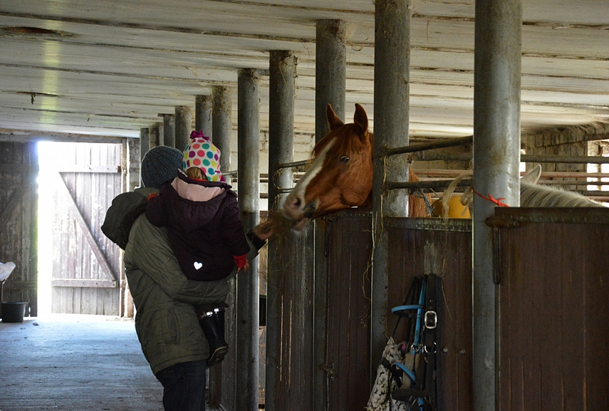 <p>O pamaitinti visgi reikia visus žirgus...</p>
