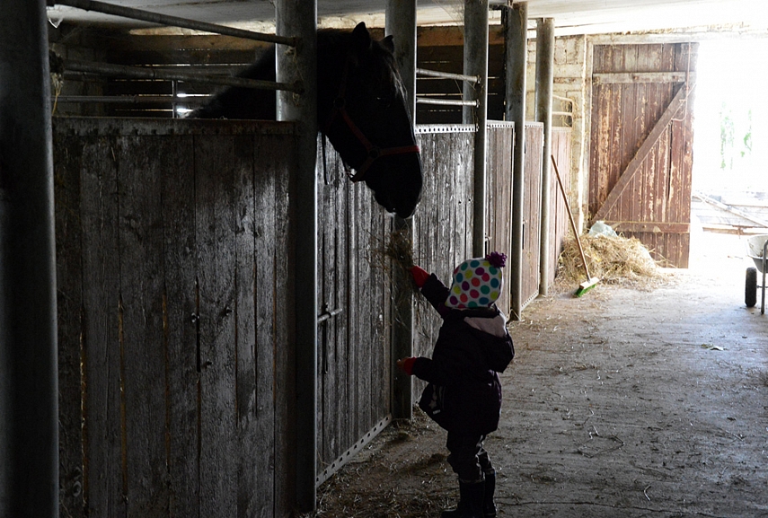 <p>Šį kartą Sofija jaučiasi kaip namie</p>
