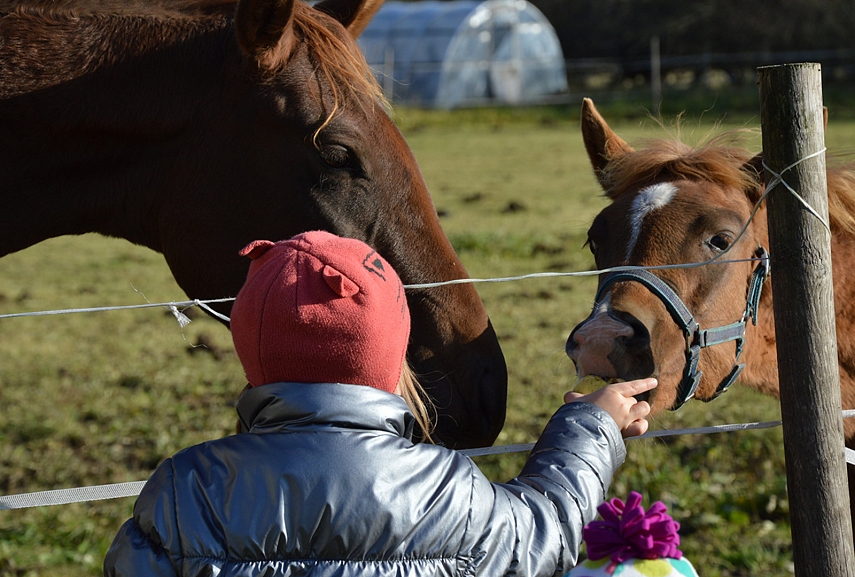 <p>Vaišinamės obuoliukais</p>
