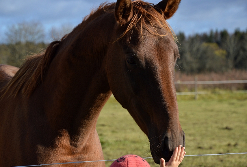 <p>Nuostabi akimirka...</p>
