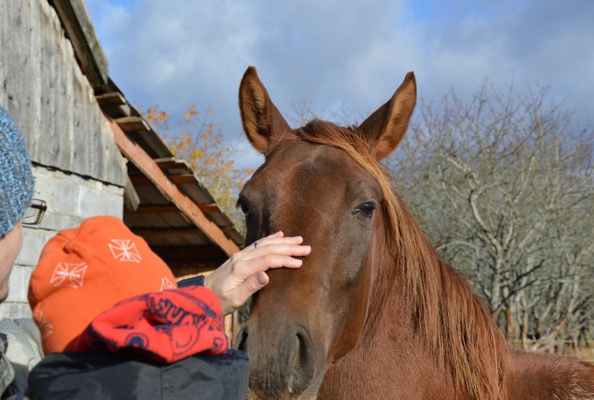 <p>Draugystė kvadratu</p>
