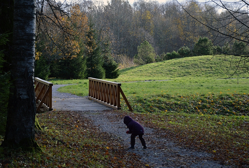 <p>Smagus idiliškas parko tiltelis... tik nutiestas jis per stovinti, užpelkėjusį upelį.. Lai tai būna tik tarp mūsų.. svarbiausia nuotraukoje nieko nesimato</p>
