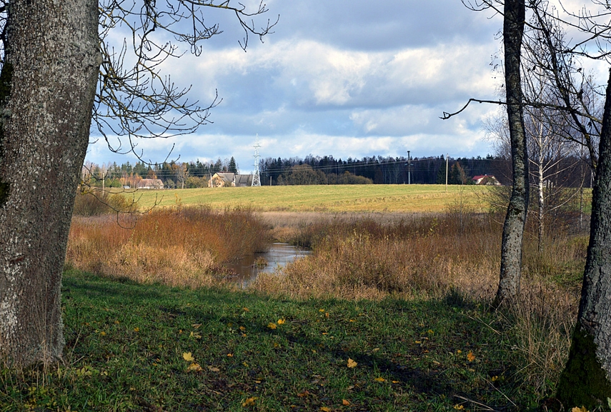 <p>Baigiasi parkas, prasideda kaimas. O kad Vingio parko pakraštys būtų toks</p>
