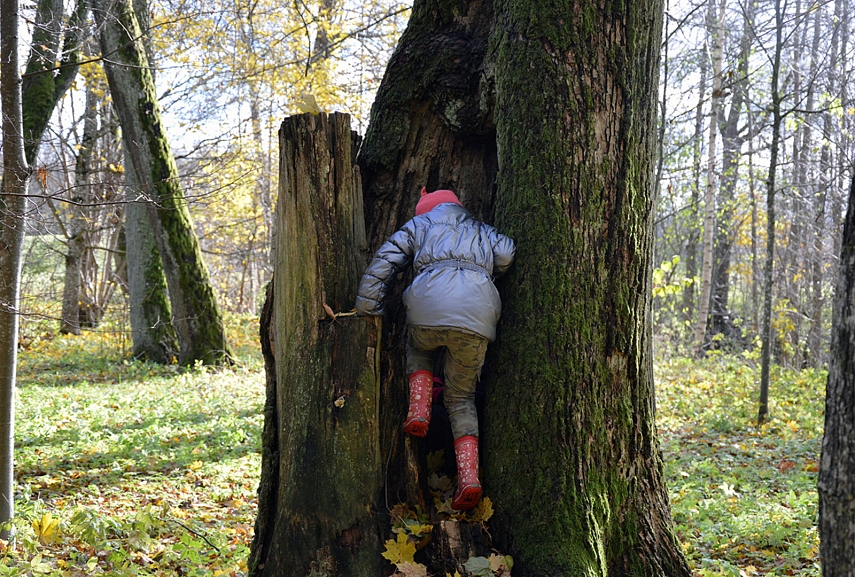 <p>Milžiniška slėptuvė medžio kamiene. Tilpo abi</p>
