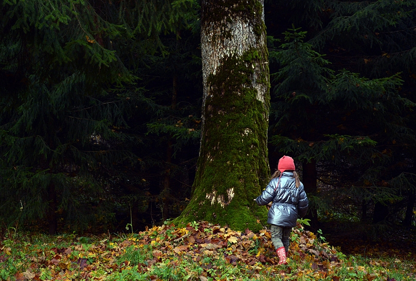 <p>Beveik kaip ne Lietuvoje... tikrai</p>
