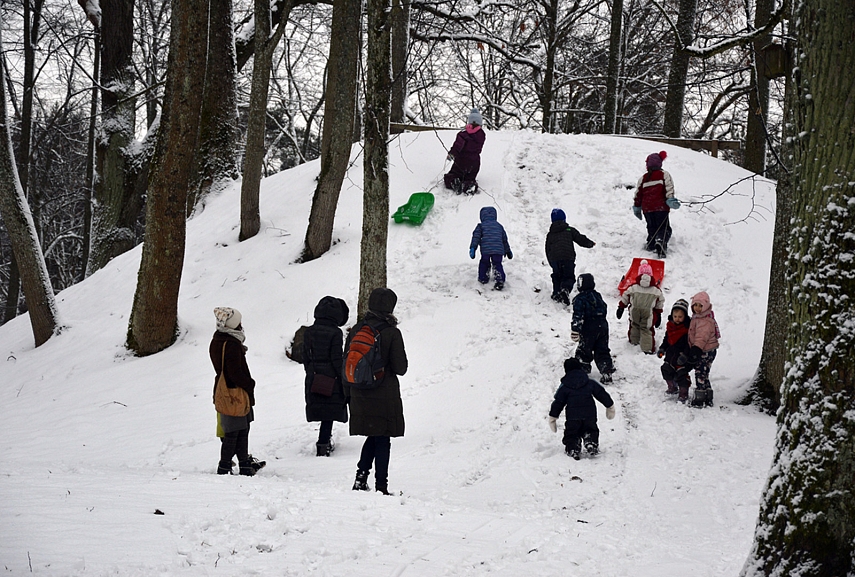 <p>Štai mūsų linksmas pirmasis šių metų susitikimas Verkių parke...</p>
