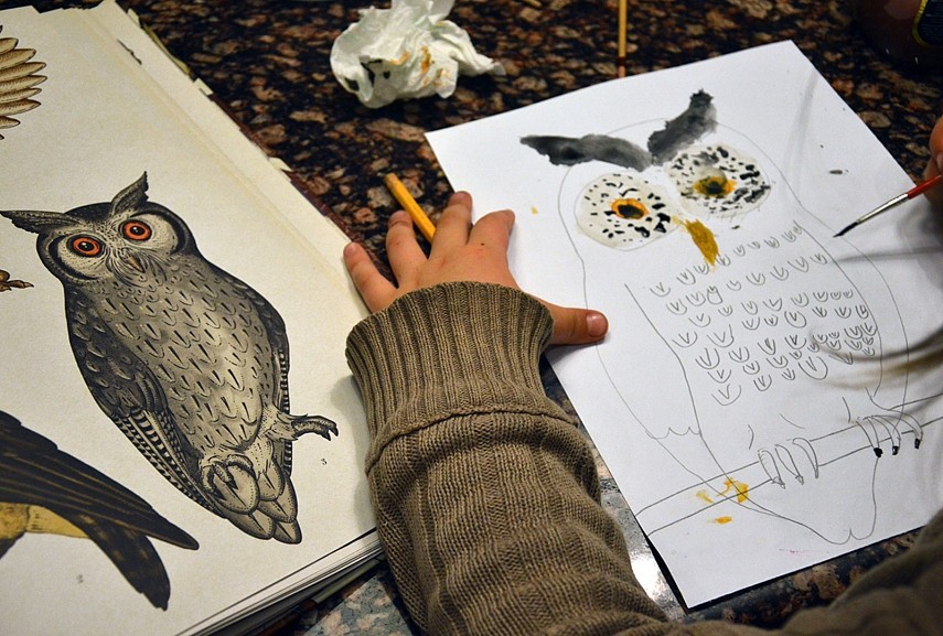 <p>Pelėdų etapas: tupinti pelėda... Turim kokius tris egzempliorius namie.</p>
