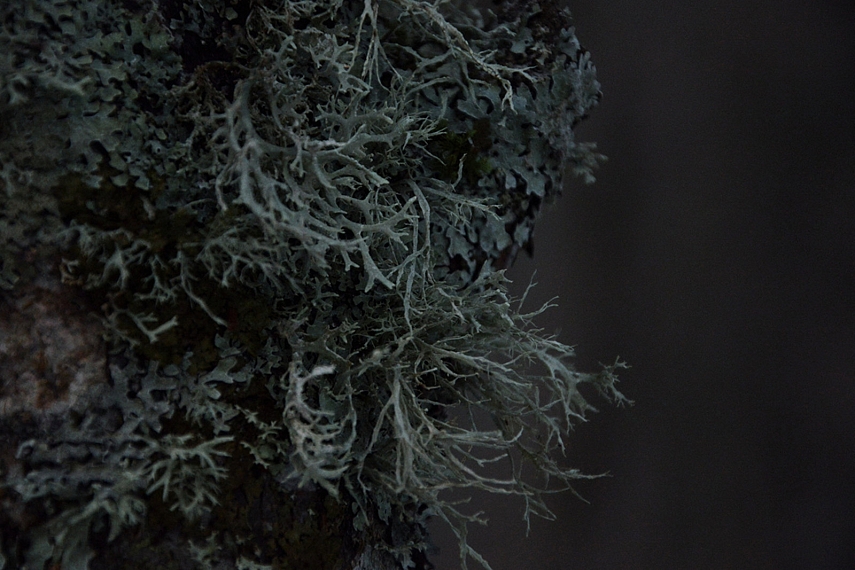 <p>Vieniem takas - kitiem kerpės.</p>
