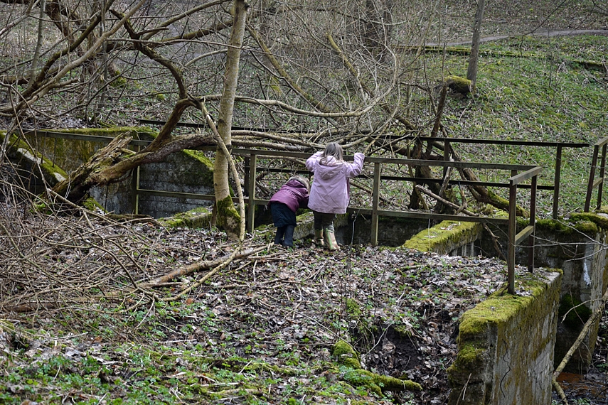 <p>Kiek toleliau nuo pagrindinio kelio radom apsamanojusius pusėtinai baisius vandens įrenginius. Reikėjo ištirti...</p>
