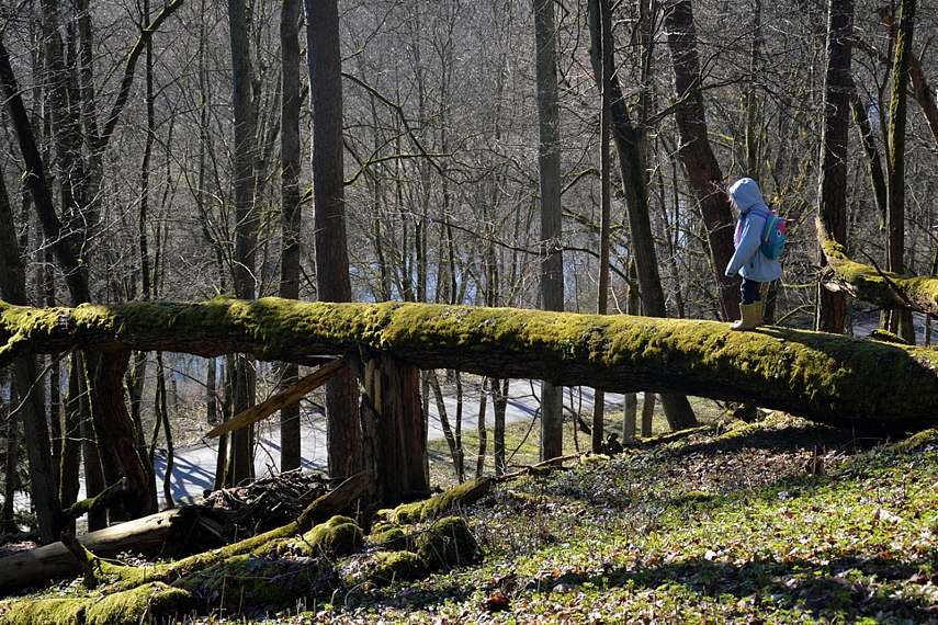<p>Bebimė Emilija įveiks bet kokį iššūkį..</p>
