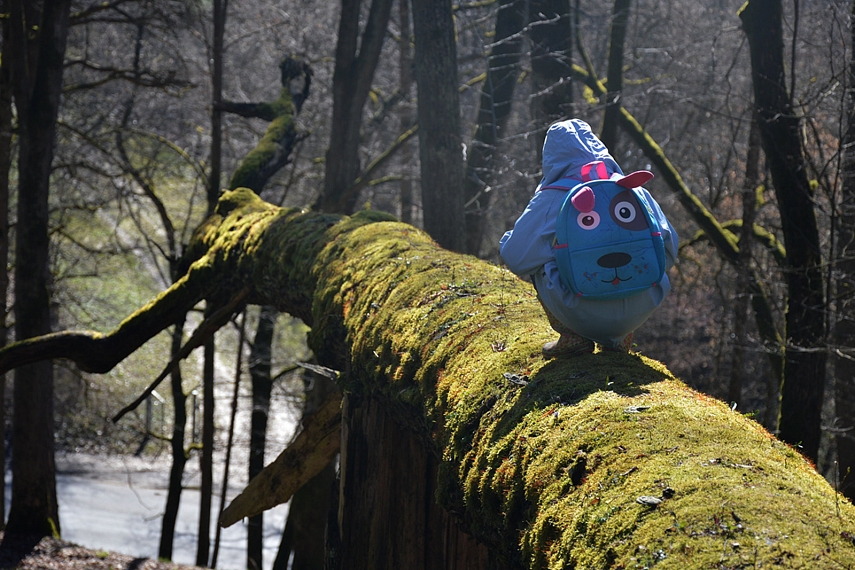 <p>Paukštelis : )</p>
