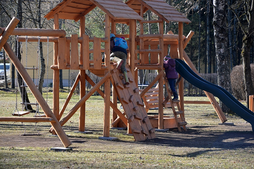 <p>Bet svarbiausia - geri medinukai.</p>
