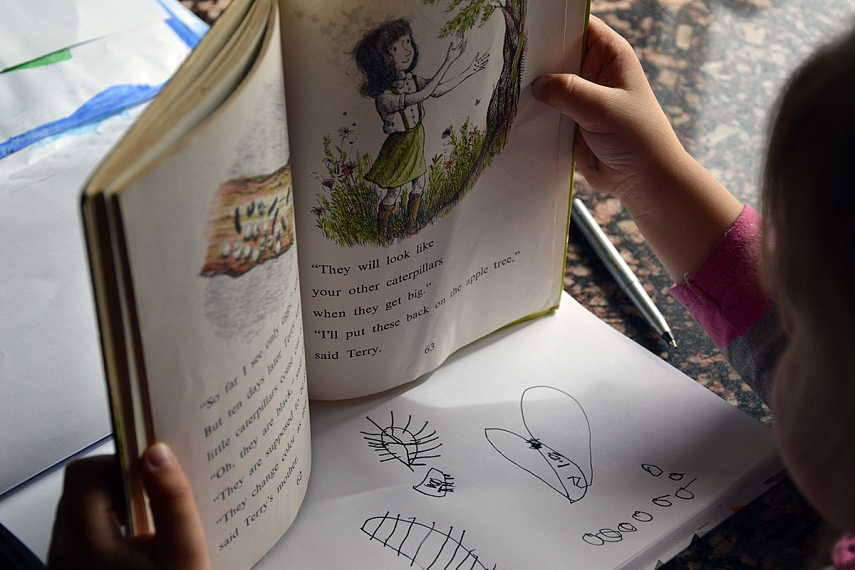 <p>Sofijos schema...</p>
