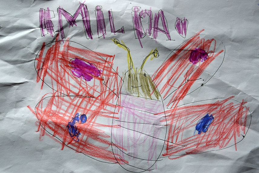 <p>Ir drugelis...</p>
