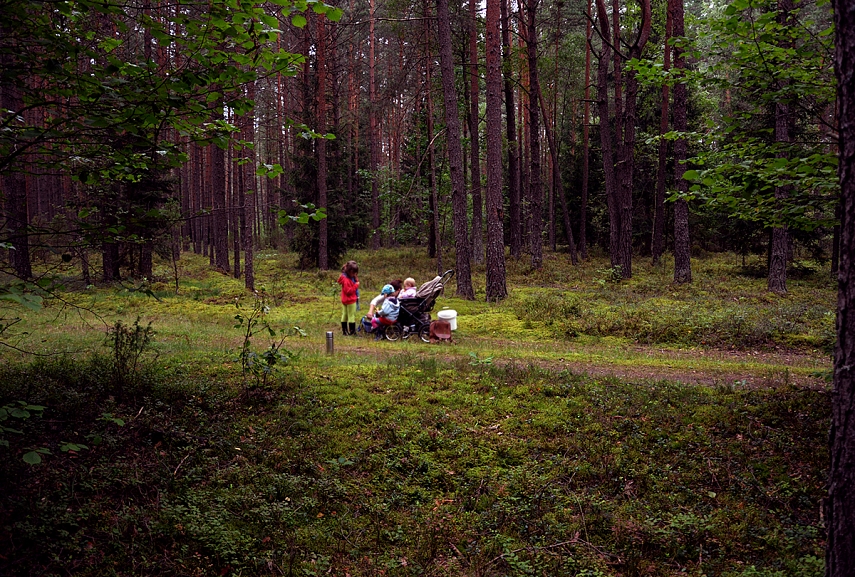 <p>Vidury miško. Užkandžiaujam</p>
