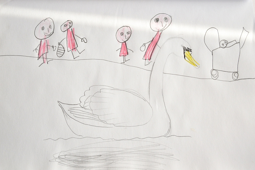 <p>Įamžiname susitikimą su gulbėmis. Gulbę padėjau nupiešti aš</p>
