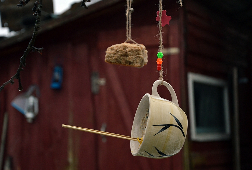 <p>Paukščių lesykla</p>
