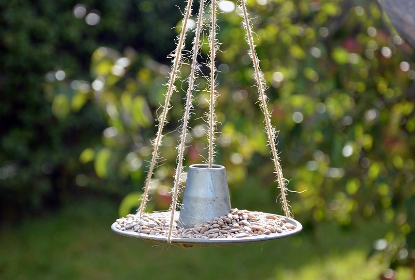 <p>Savidarbė lėsyklėlė</p>
