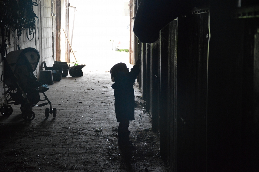 <p>Sofija Rietavo žirgyne</p>
