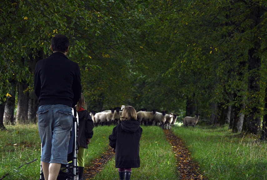 <p>Rietavo žirgyne. Mūsų mėgstamiausia vieta visoje Lietuvoje...</p>
