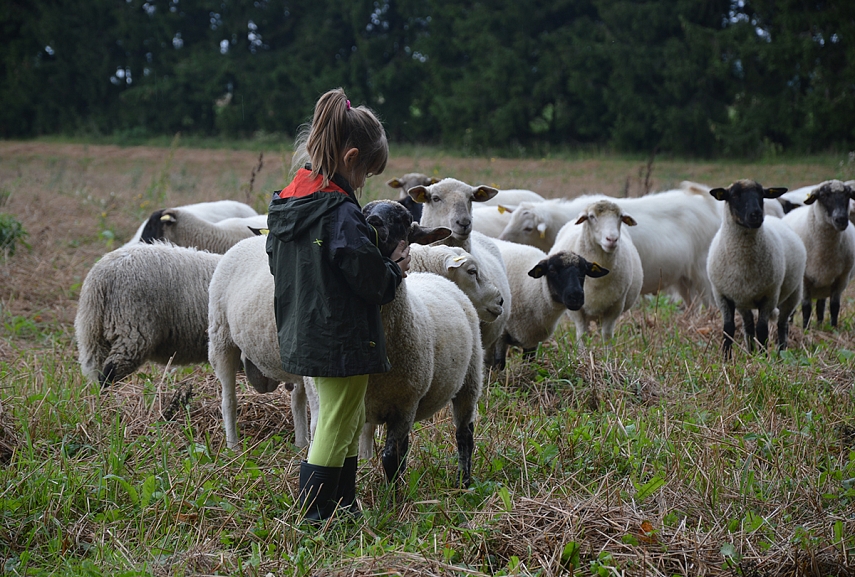 <p>Jei vienoje teritorijoje atsidurs Emilija ir gyvūnai, bus taip... ir ne kitaip</p>

