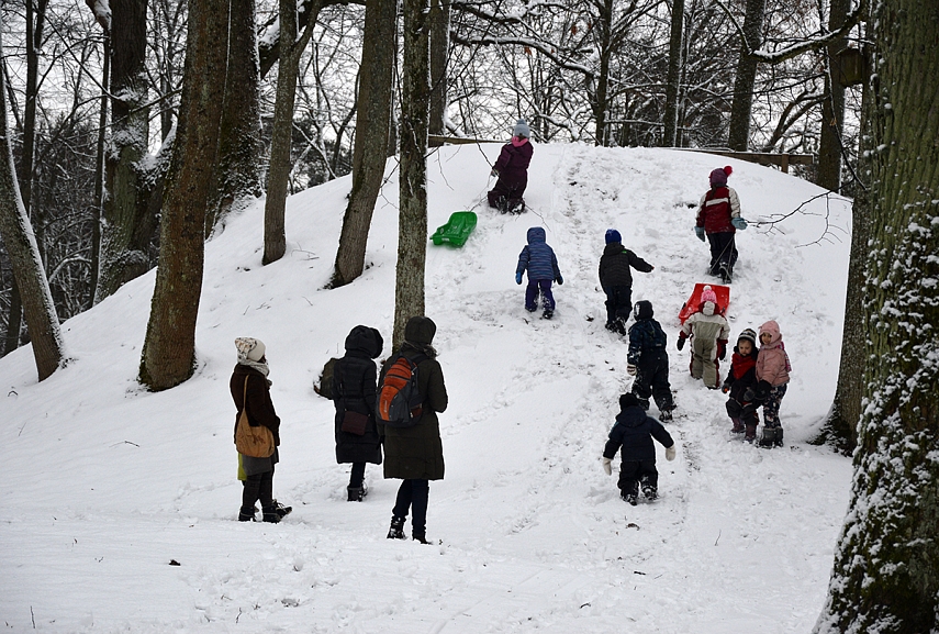 <p>Privatus darželis? Ne, čia tik mes - homeschooleriai</p>
