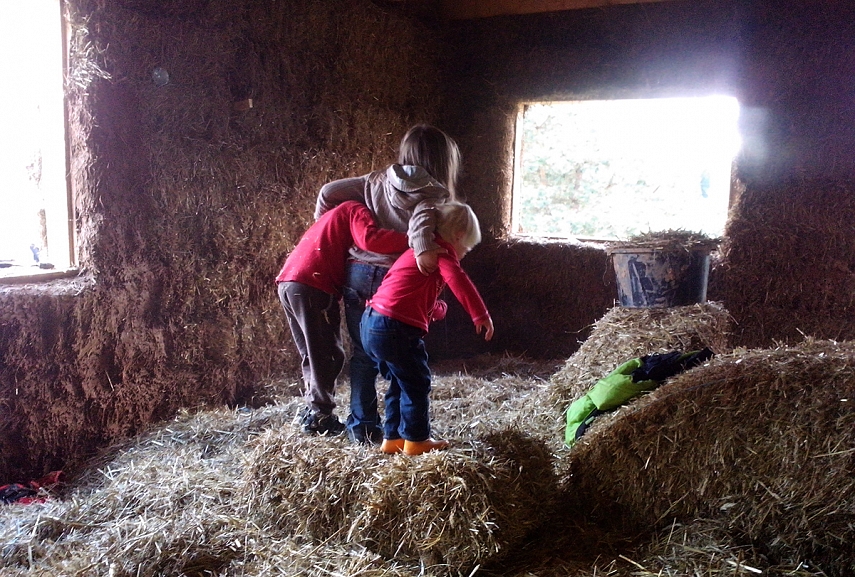 <p>Smagiausia vasara ant šieno</p>
