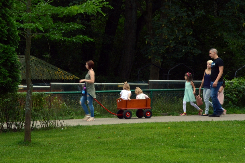 <p>Spejau pagauti kaip tie vežimėliai atrodo...</p>
