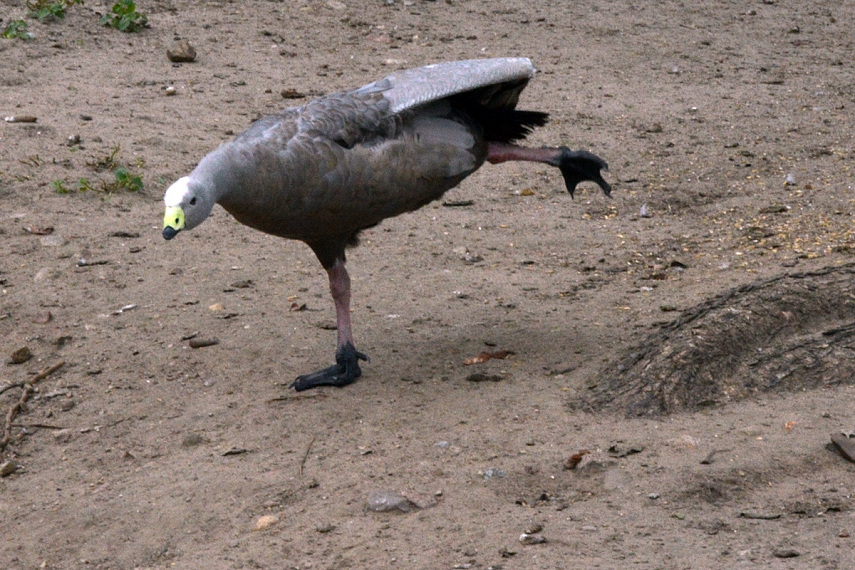 <p>Sportuojam. Kažkokia antienė</p>
