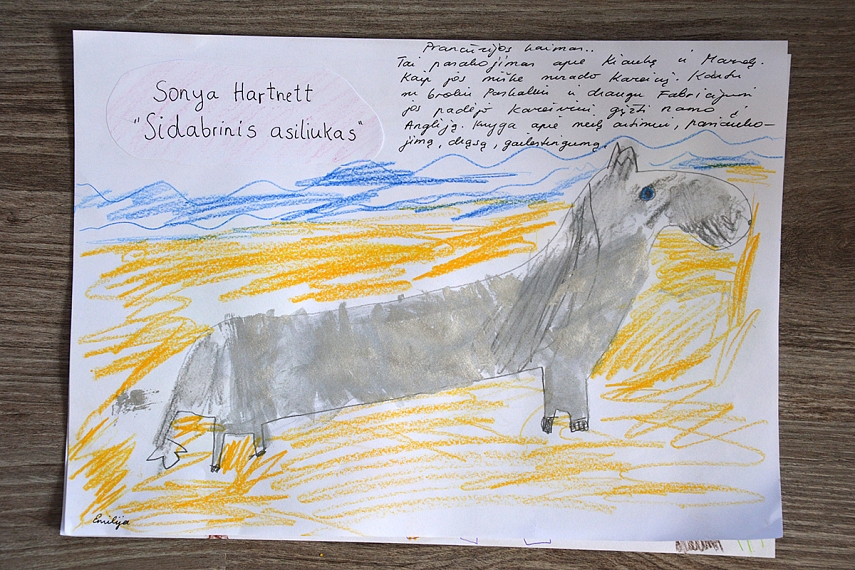 <p>Sidabrinis asiliukas. Emilija</p>
