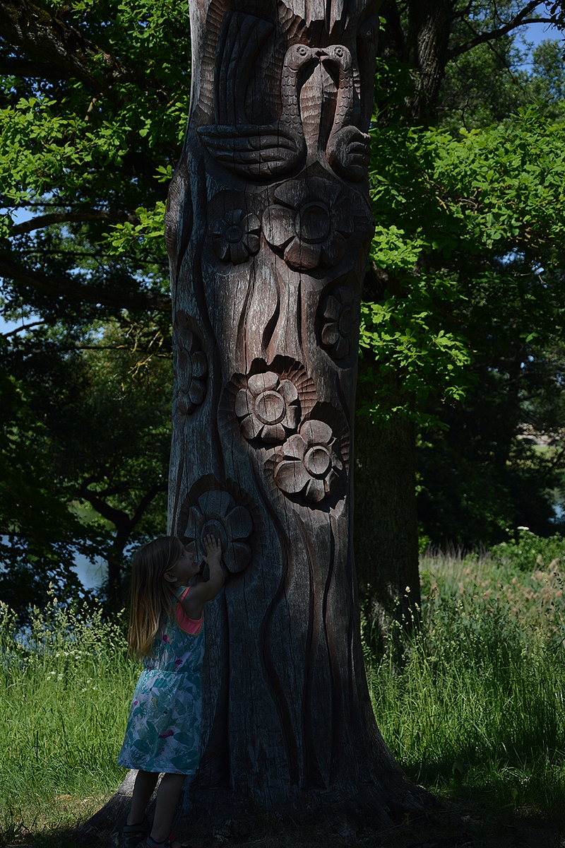 <p>Meilės medis, o netoliese ir meilės tiltelis pastatytas</p>
