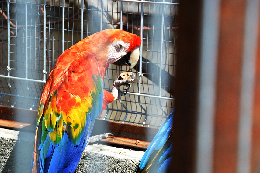 <p>Dag didesnė nei matosi iš nuotraukos!</p>
