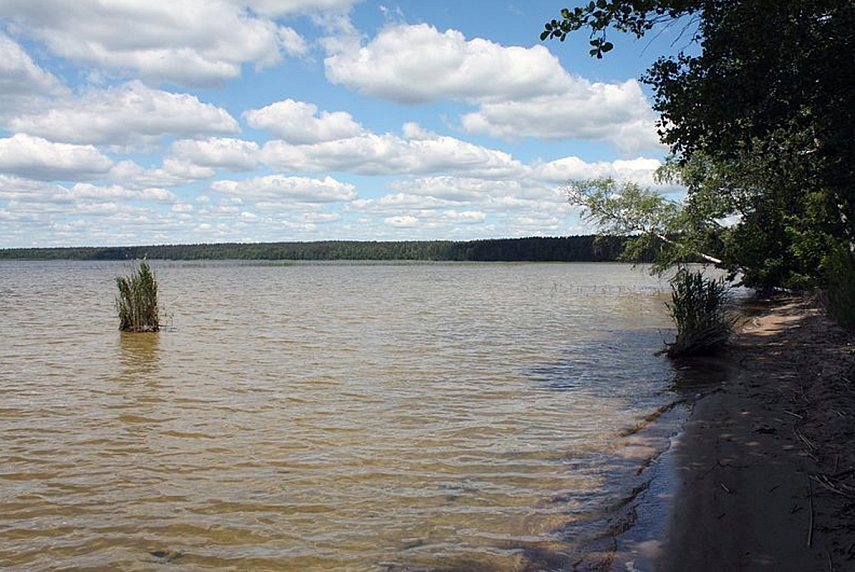 <p>Foto iš Wikipedia</p>
