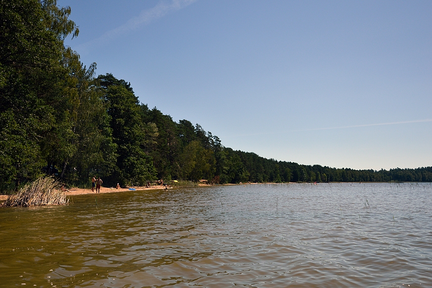 <p>Ilga pakrantė. Poilsiautojau pasislėpę tarp medžių</p>
