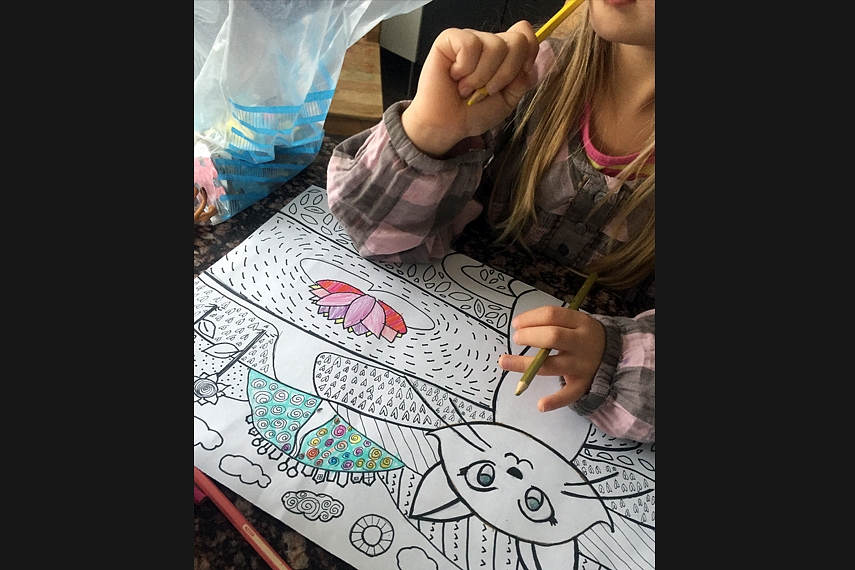 <p>Sofija spalvina</p>
